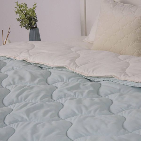 Одеяло BW "DUO SEASON" 150*210 см (150г/250г/м2) (microfiber) 4s_22 фото
