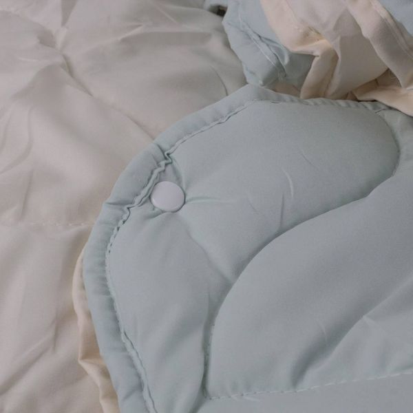 Одеяло BW "DUO SEASON" 150*210 см (150г/250г/м2) (microfiber) 4s_22 фото