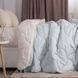 Одеяло BW "DUO SEASON" 150*210 см (150г/250г/м2) (microfiber) 4s_22 фото 1